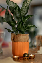 Load image into Gallery viewer, Burlap · Wholesale