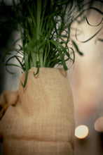 Load image into Gallery viewer, Hessian Cloth · Wholesale