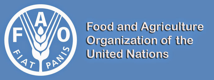 Food and Agriculture Organization of UN report on Jute